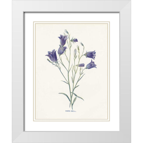 Hare-Bell White Modern Wood Framed Art Print with Double Matting by Babbitt, Gwendolyn