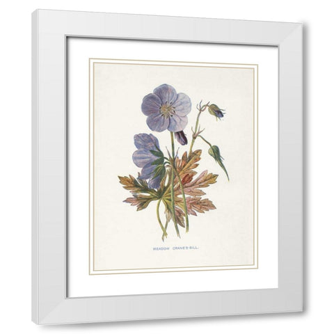 Meadow Cranes-Bill White Modern Wood Framed Art Print with Double Matting by Babbitt, Gwendolyn