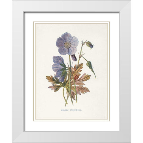 Meadow Cranes-Bill White Modern Wood Framed Art Print with Double Matting by Babbitt, Gwendolyn