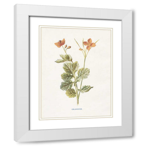 Celandine White Modern Wood Framed Art Print with Double Matting by Babbitt, Gwendolyn