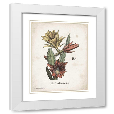 Cacti I White Modern Wood Framed Art Print with Double Matting by Babbitt, Gwendolyn