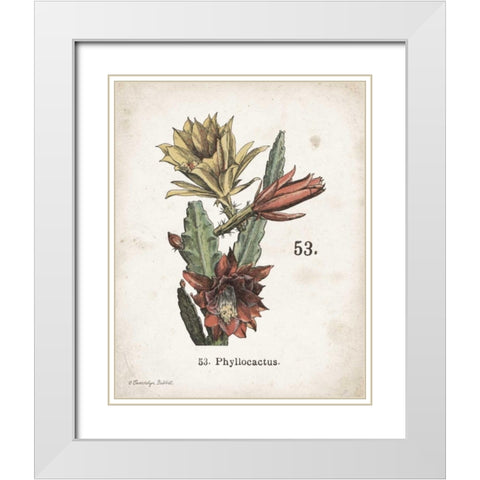 Cacti I White Modern Wood Framed Art Print with Double Matting by Babbitt, Gwendolyn