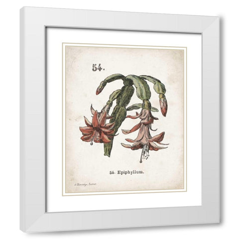Cacti II White Modern Wood Framed Art Print with Double Matting by Babbitt, Gwendolyn
