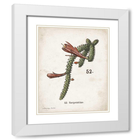 Cacti III White Modern Wood Framed Art Print with Double Matting by Babbitt, Gwendolyn