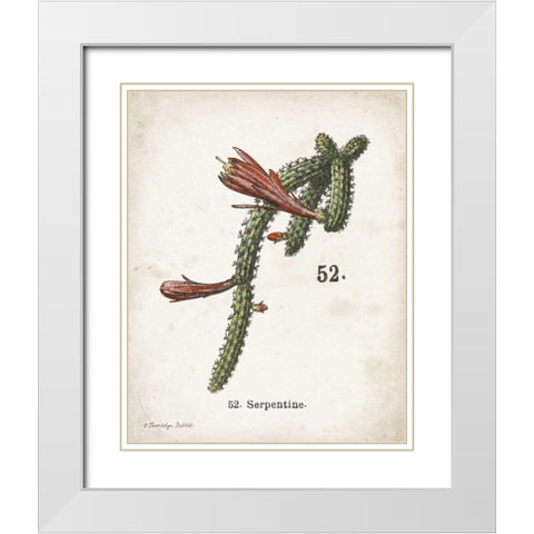 Cacti III White Modern Wood Framed Art Print with Double Matting by Babbitt, Gwendolyn