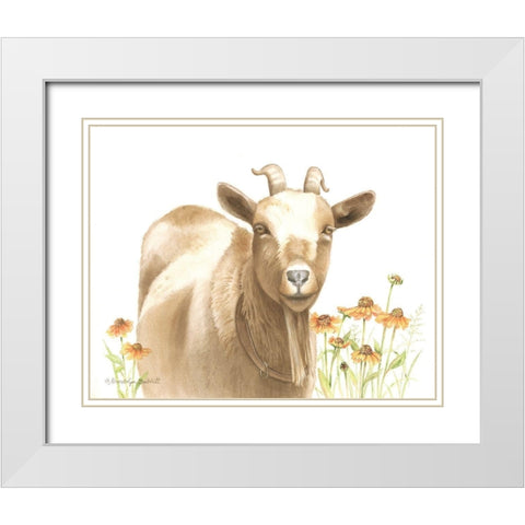 Daisy Goat White Modern Wood Framed Art Print with Double Matting by Babbitt, Gwendolyn