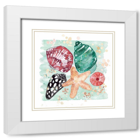 Beachcomber Shells White Modern Wood Framed Art Print with Double Matting by Berrenson, Sara