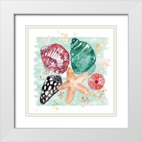 Beachcomber Shells White Modern Wood Framed Art Print with Double Matting by Berrenson, Sara