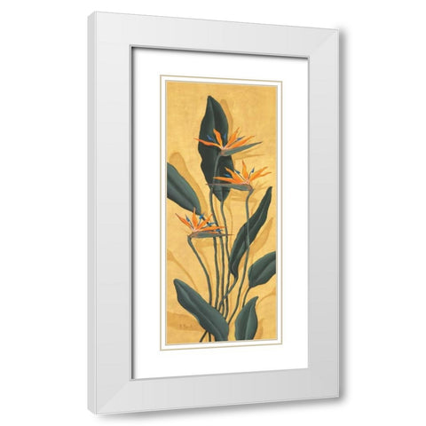 Bird of Paradise White Modern Wood Framed Art Print with Double Matting by Brent, Paul