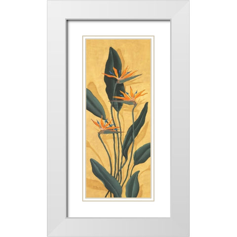 Bird of Paradise White Modern Wood Framed Art Print with Double Matting by Brent, Paul