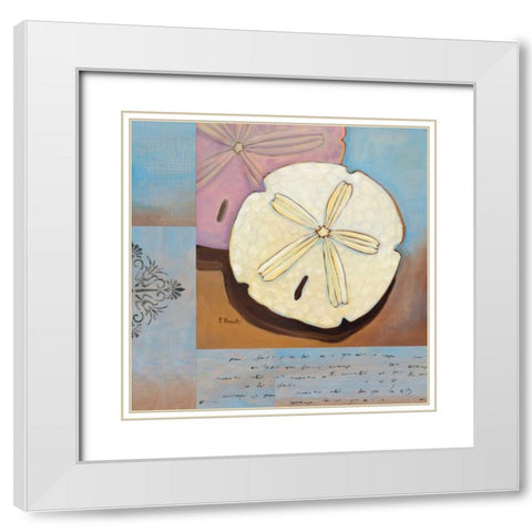 Sanibel Sand Dollar White Modern Wood Framed Art Print with Double Matting by Brent, Paul
