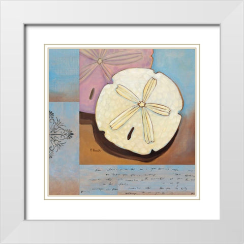Sanibel Sand Dollar White Modern Wood Framed Art Print with Double Matting by Brent, Paul