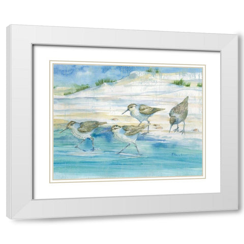 Sandy Sandpipers II White Modern Wood Framed Art Print with Double Matting by Brent, Paul
