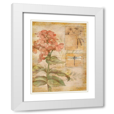 Flora Dragonfly White Modern Wood Framed Art Print with Double Matting by Brent, Paul
