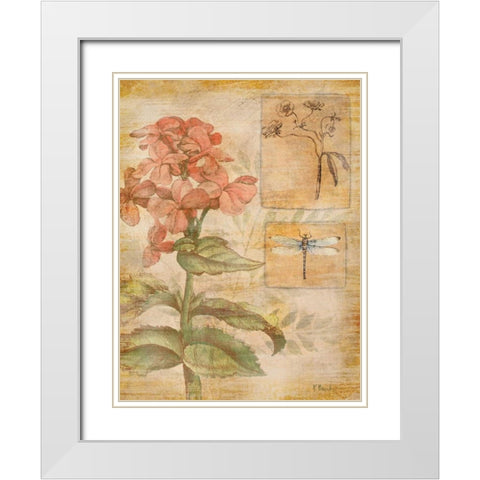 Flora Dragonfly White Modern Wood Framed Art Print with Double Matting by Brent, Paul