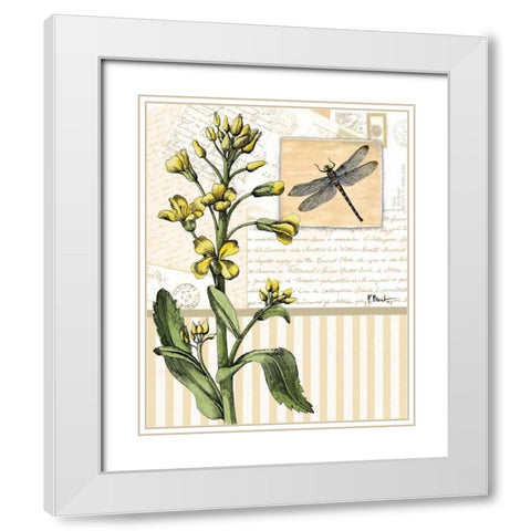 Botanical Collage II White Modern Wood Framed Art Print with Double Matting by Brent, Paul