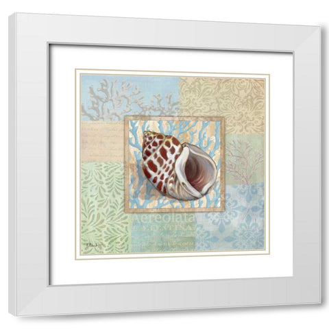 Oceanic Shell Collage I White Modern Wood Framed Art Print with Double Matting by Brent, Paul