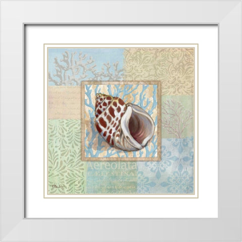 Oceanic Shell Collage I White Modern Wood Framed Art Print with Double Matting by Brent, Paul
