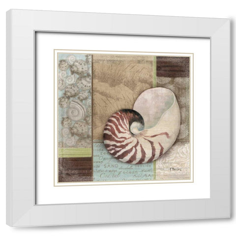 Santa Rosa Shell II White Modern Wood Framed Art Print with Double Matting by Brent, Paul