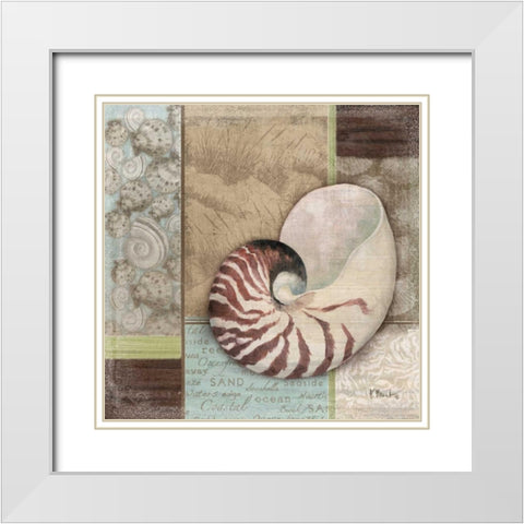 Santa Rosa Shell II White Modern Wood Framed Art Print with Double Matting by Brent, Paul