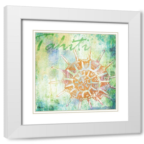 Martinique Shells II White Modern Wood Framed Art Print with Double Matting by Brent, Paul
