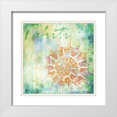 Martinique Shells II White Modern Wood Framed Art Print with Double Matting by Brent, Paul