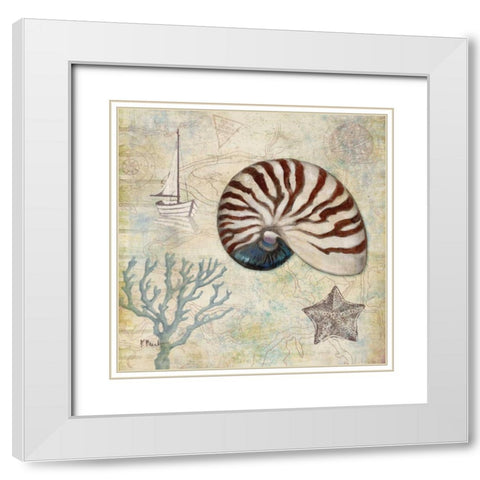 Discovery Shell I White Modern Wood Framed Art Print with Double Matting by Brent, Paul