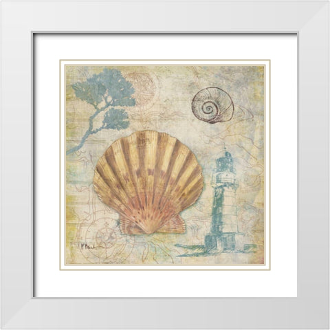 Discovery Shell II White Modern Wood Framed Art Print with Double Matting by Brent, Paul