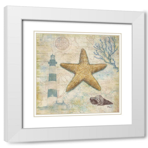 Discovery Shell III White Modern Wood Framed Art Print with Double Matting by Brent, Paul