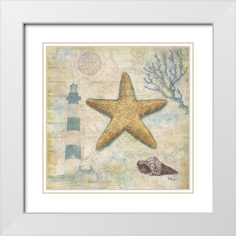 Discovery Shell III White Modern Wood Framed Art Print with Double Matting by Brent, Paul