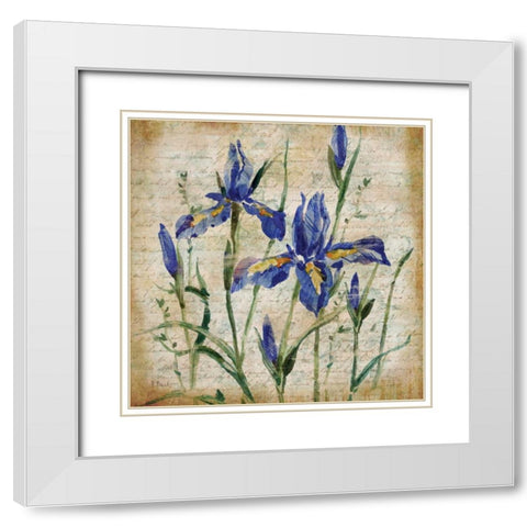 Poetic Garden IV White Modern Wood Framed Art Print with Double Matting by Brent, Paul