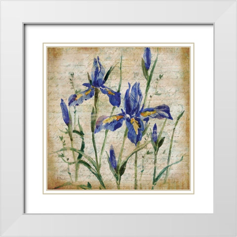 Poetic Garden IV White Modern Wood Framed Art Print with Double Matting by Brent, Paul