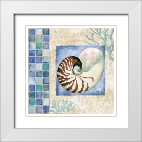 Mosaic Shell Collage V White Modern Wood Framed Art Print with Double Matting by Brent, Paul