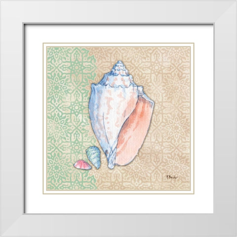 Serene Seashells III White Modern Wood Framed Art Print with Double Matting by Brent, Paul