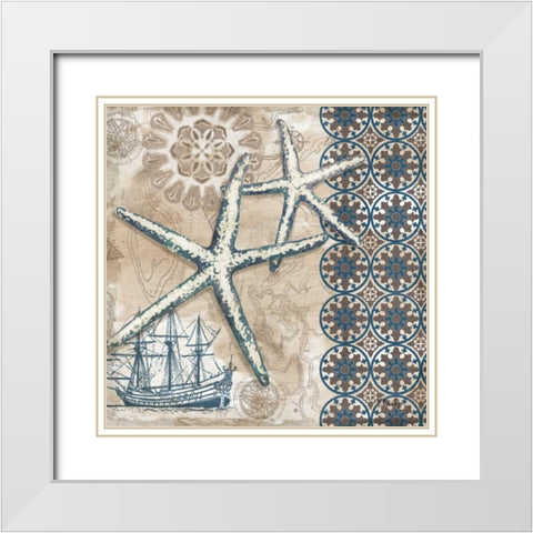 Tide Pool Shells III White Modern Wood Framed Art Print with Double Matting by Brent, Paul