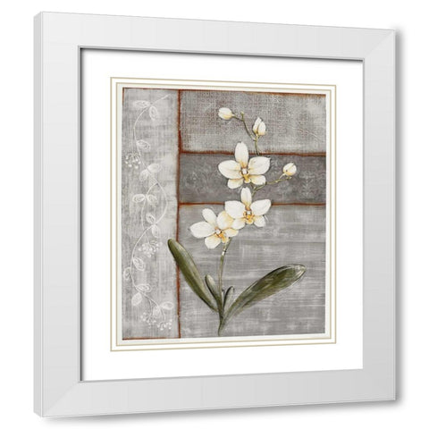 Orchid Shimmer I White Modern Wood Framed Art Print with Double Matting by Braun, O.