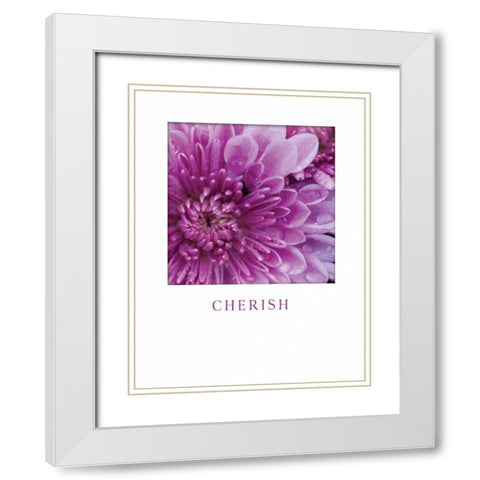 Cherish White Modern Wood Framed Art Print with Double Matting by Berzel, Erin
