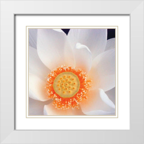 Lotus I White Modern Wood Framed Art Print with Double Matting by Christensen, Jim
