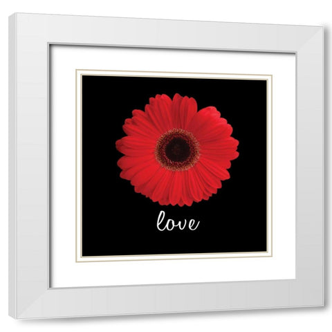 Love Daisy White Modern Wood Framed Art Print with Double Matting by Christensen, Jim