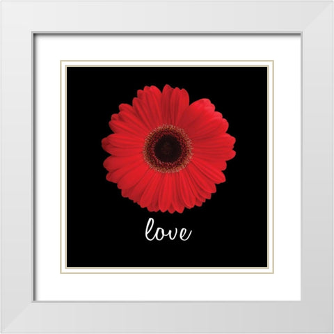 Love Daisy White Modern Wood Framed Art Print with Double Matting by Christensen, Jim