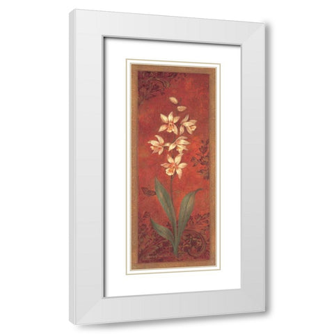 Cymbidium White Modern Wood Framed Art Print with Double Matting by Gladding, Pamela