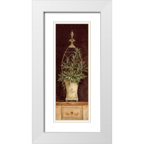 Olive Topiary II White Modern Wood Framed Art Print with Double Matting by Gladding, Pamela