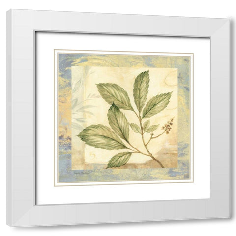 Leaf Botanicals II White Modern Wood Framed Art Print with Double Matting by Gladding, Pamela