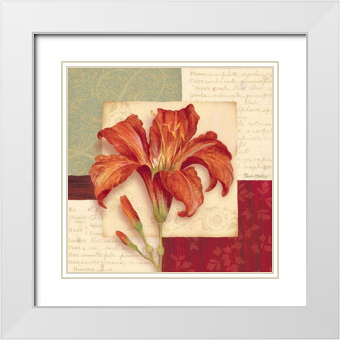 Bella Donna II White Modern Wood Framed Art Print with Double Matting by Gladding, Pamela