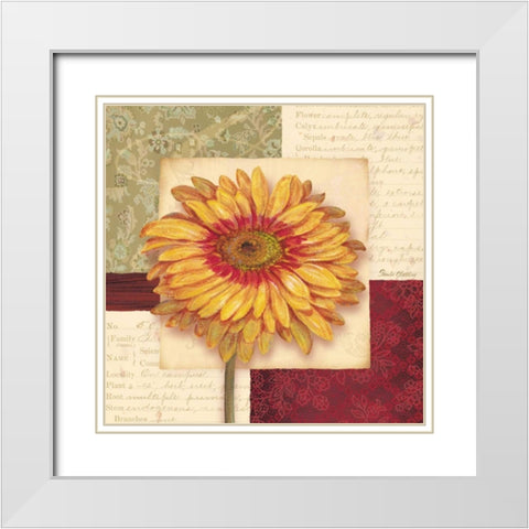 Bella Donna III White Modern Wood Framed Art Print with Double Matting by Gladding, Pamela