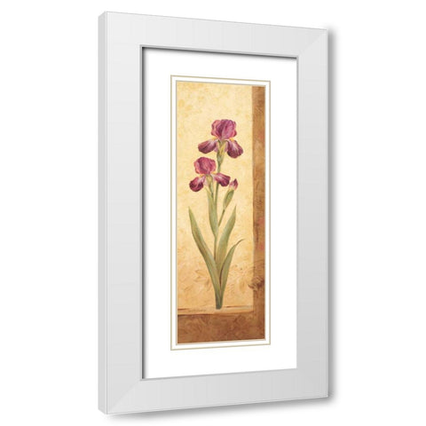 Grandiflora II White Modern Wood Framed Art Print with Double Matting by Gladding, Pamela