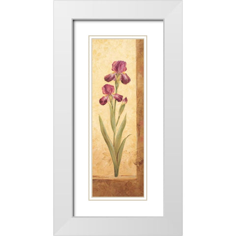 Grandiflora II White Modern Wood Framed Art Print with Double Matting by Gladding, Pamela