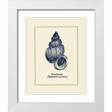 Wentletrap Shell White Modern Wood Framed Art Print with Double Matting by Gorham, Gregory