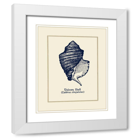 Unicorn Shell White Modern Wood Framed Art Print with Double Matting by Gorham, Gregory