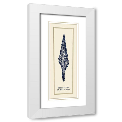 Pleurotoma Shell I White Modern Wood Framed Art Print with Double Matting by Gorham, Gregory
